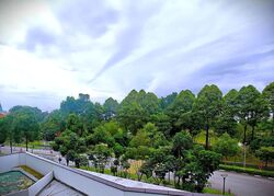 Blk 475A Parkland Residences (Hougang), HDB 5 Rooms #553873921
